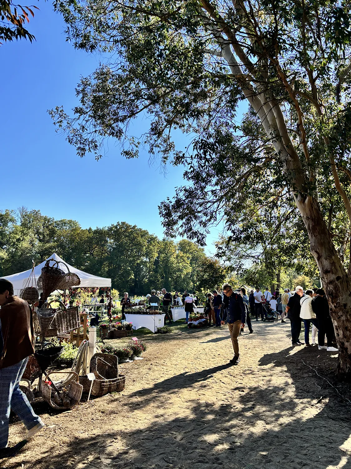 Photo représentant les visiteurs entrain de regarder les stands de la fête des plantes sous un grand ciel bleu.