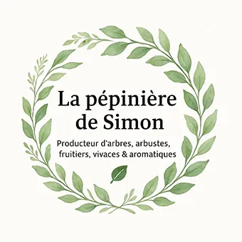 lapepinieredesimon