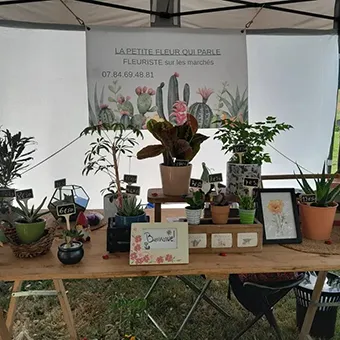 lapetitefleurquiparle