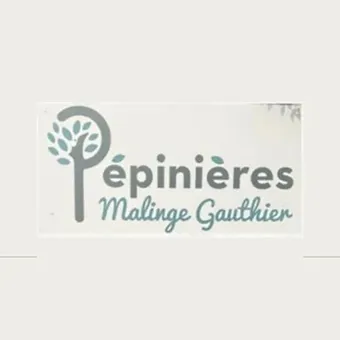 malingegauthier copie