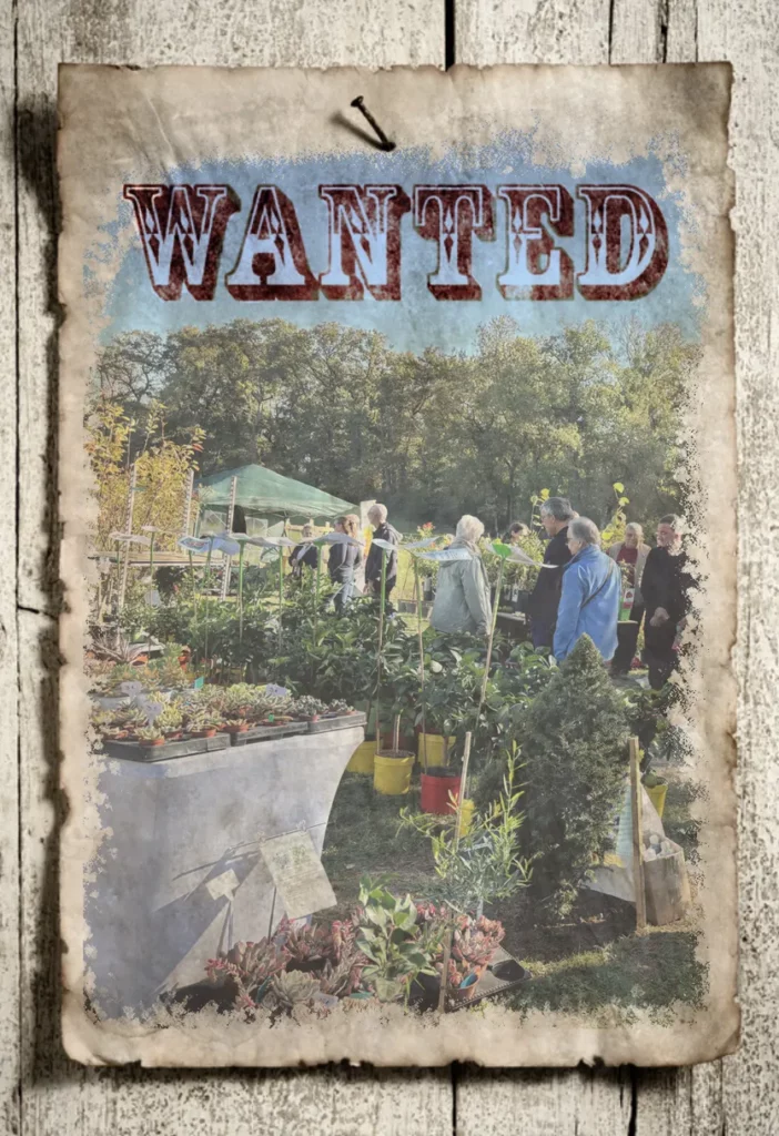 wanted